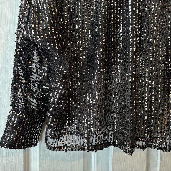 New Zara $69 Tied Collar Gold Sequin Semi Sheer Blouse 9127/572 Small - Picture 6 of 14